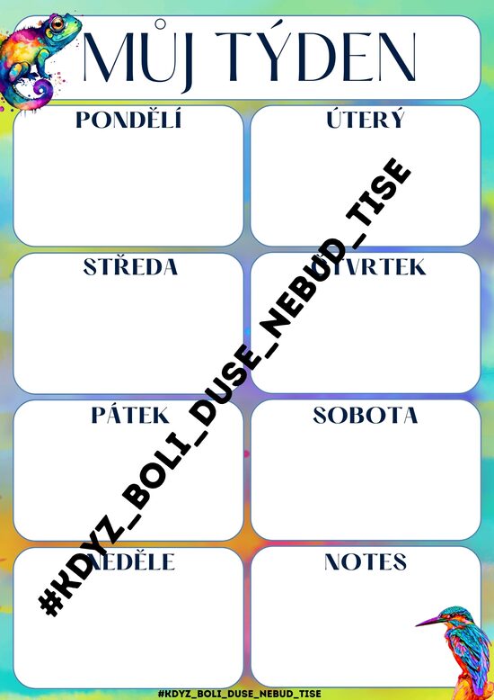 Týdenní plánovač A5 modrý